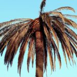 Image-Travel-4