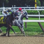 Online Betting myths