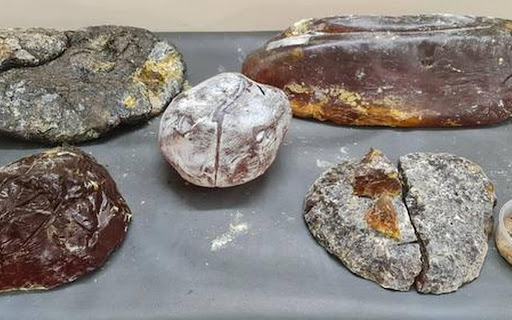 Best Guide to Find an International Ambergris Buyer Easily