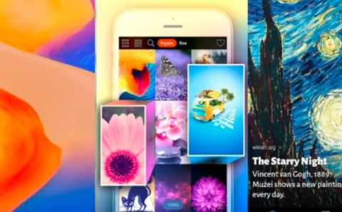 6 Best  Wallpaper downloading apps for Android and iOS