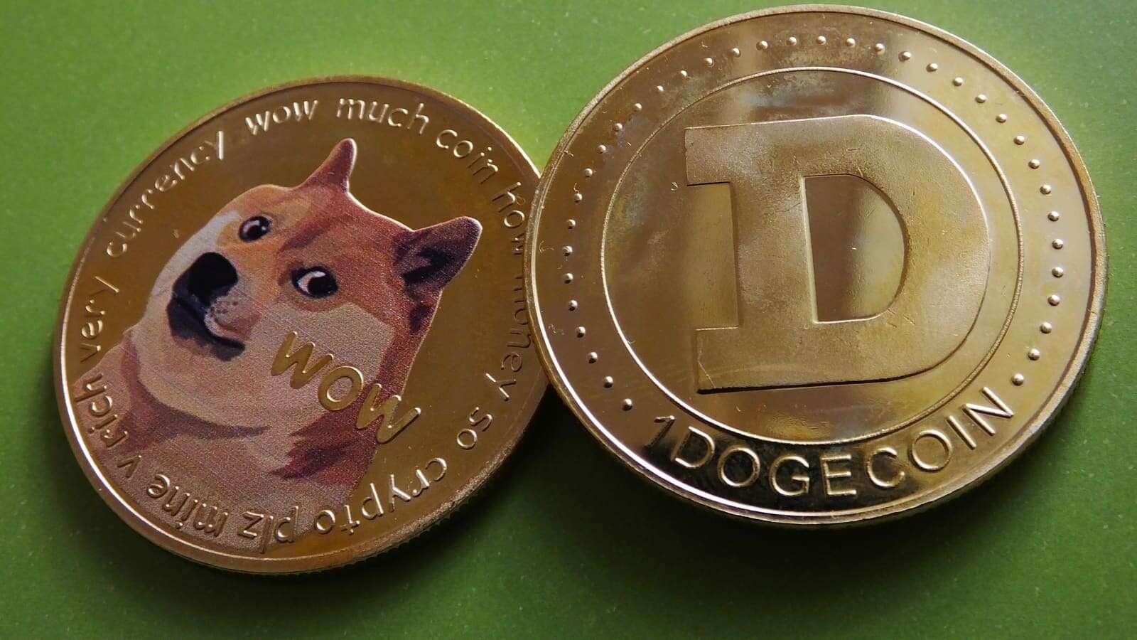 How to Make Profit from Dogeco!