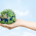 best carbon footprint calculator
