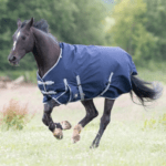 Horse Rugs
