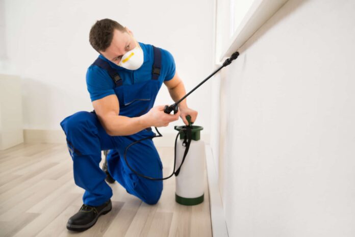 Comprehensive Guide to Pest Control in Sunshine Coast