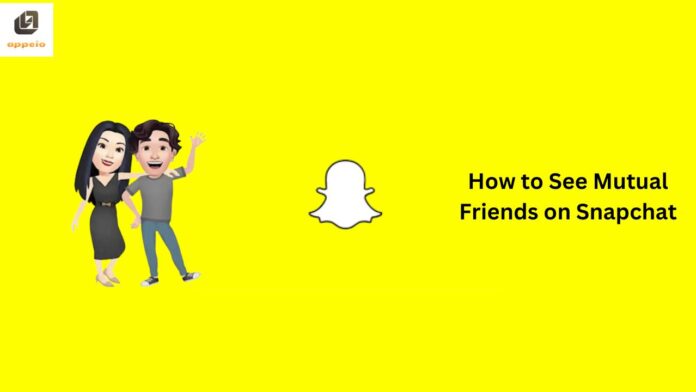 How to See Mutual Friends on Snapchat