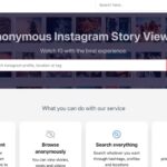 Dumpor Story viewer preview