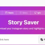 fastdl story saver preview